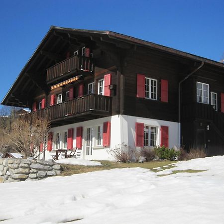 Chalet Aiiny Grindelwald Extérieur photo