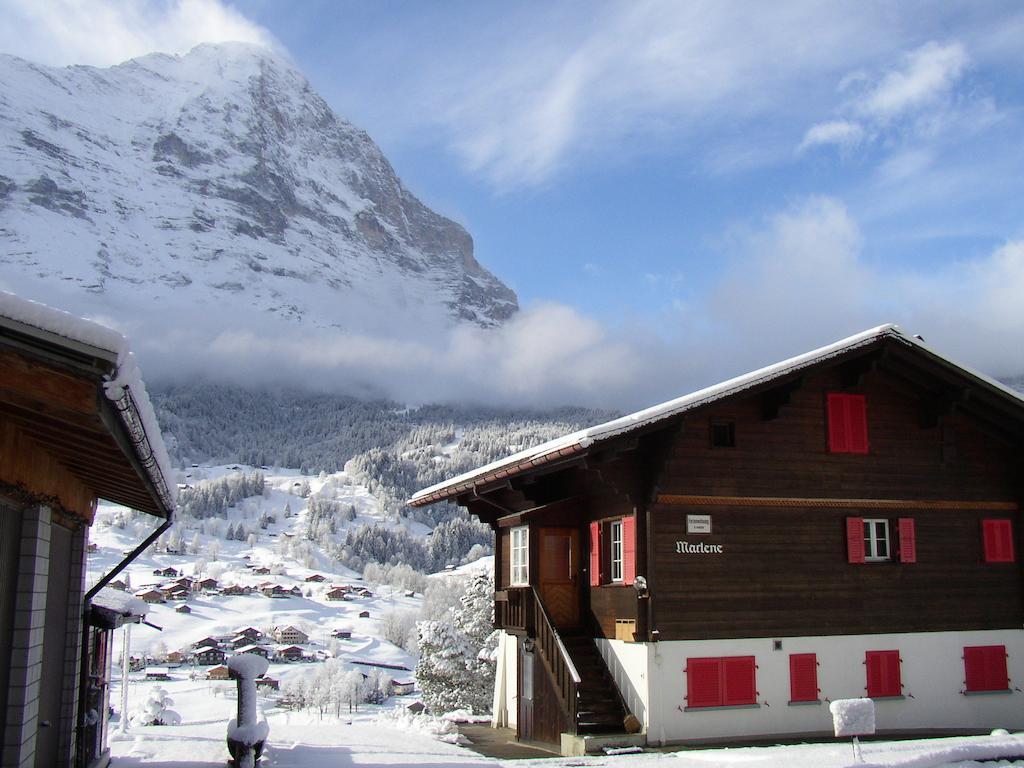Chalet Aiiny Grindelwald Extérieur photo